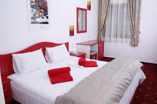 Отель Hotel Exclusiv Тимишоара Двухместный номер с 1 кроватью-2