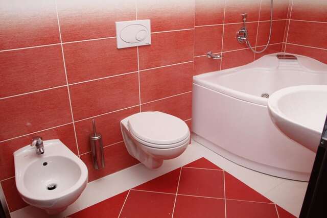 Отель Hotel Exclusiv Тимишоара-12