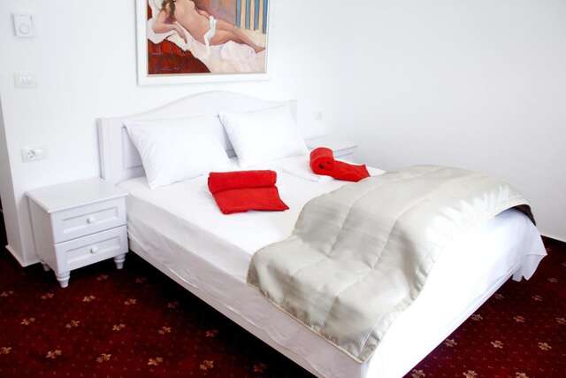 Отель Hotel Exclusiv Тимишоара-10